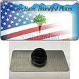 South Carolina with American Flag Novelty Metal Hat Pin