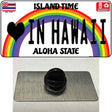 Love In Hawaii Novelty Metal Hat Pin