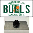 Bulls Novelty Metal Hat Pin