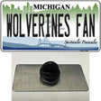 Wolverines Fan Novelty Metal Hat Pin