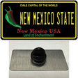 New Mexico State Novelty Metal Hat Pin