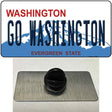 Go Washington Novelty Metal Hat Pin