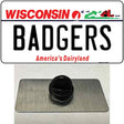 Badgers Novelty Metal Hat Pin