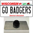 Go Badgers Novelty Metal Hat Pin