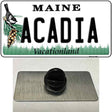 Acadia Maine Novelty Metal Hat Pin