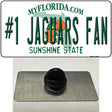 Number 1 Jaguars Fan Novelty Metal Hat Pin Tag