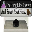 Hung Like Einstein Novelty Metal Hat Pin Tag