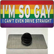 Im So Gay Novelty Metal Hat Pin Tag