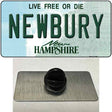 Newbury New Hampshire Novelty Metal Hat Pin