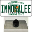 Immokalee Florida Novelty Metal Hat Pin