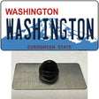 Washington State Novelty Metal Hat Pin