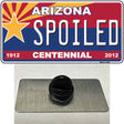 Arizona Centennial Spoiled Novelty Metal Hat Pin