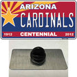 Arizona Centennial Cardinals Novelty Metal Hat Pin