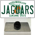 Jaguars Florida State Novelty Metal Hat Pin