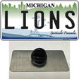 Lions Michigan State Novelty Metal Hat Pin