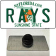 Rays Florida State Novelty Metal Hat Pin