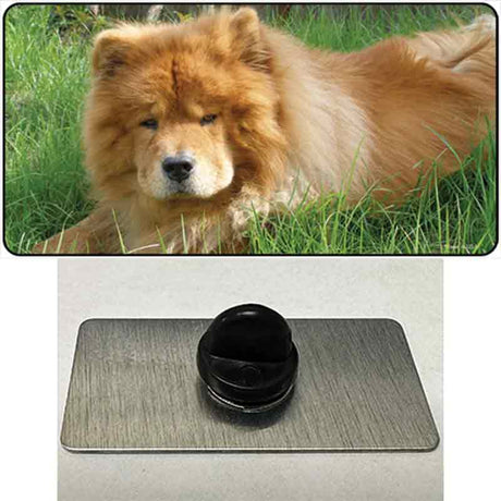 Chow Chow Dog Novelty Metal Hat Pin