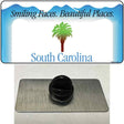 South Carolina State Blank Novelty Metal Hat Pin