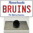 Bruins Massachusetts State Novelty Metal Hat Pin