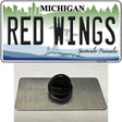 Redwings Michigan State Novelty Metal Hat Pin