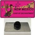 Roadrunner Pink New Mexico Novelty Metal Hat Pin