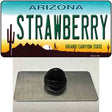 Strawberry Arizona Novelty Metal Hat Pin