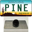 Pine Arizona Novelty Metal Hat Pin