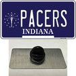 Pacers Indiana State Novelty Metal Hat Pin