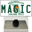 Magic Florida State Novelty Metal Hat Pin