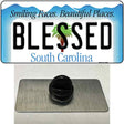 Blessed South Carolina Blue Novelty Metal Hat Pin