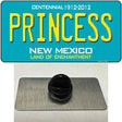 Princess New Mexico Teal Novelty Metal Hat Pin