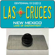 Las Cruces New Mexico Teal Novelty Metal Hat Pin