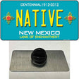 Native New Mexico Teal Novelty Metal Hat Pin