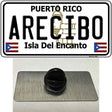 Arecibo Puerto Rico Novelty Metal Hat Pin