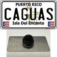 Caguas Novelty Metal Hat Pin