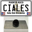 Ciales Novelty Metal Hat Pin