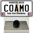 Coamo Novelty Metal Hat Pin