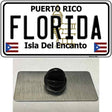 Florida Puerto Rico Novelty Metal Hat Pin