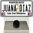 Juana Diaz Puerto Rico Novelty Metal Hat Pin