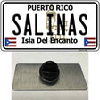 Salinas Puerto Rico Novelty Metal Hat Pin