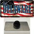 Delaware USA Novelty Metal Hat Pin