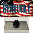 Kentucky USA Novelty Metal Hat Pin