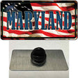 Maryland USA Novelty Metal Hat Pin