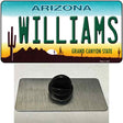 Williams Arizona Novelty Metal Hat Pin