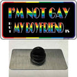 Im Not Gay But My Boyfriend Is Novelty Metal Hat Pin