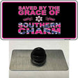 Southern Charm Novelty Metal Hat Pin