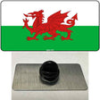 Wales Flag Novelty Metal Hat Pin