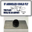 If Assholes Could Fly Novelty Metal Hat Pin