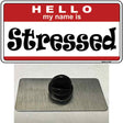 Stressed Novelty Metal Hat Pin