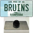 Bruins New Hampshire Novelty Metal Hat Pin